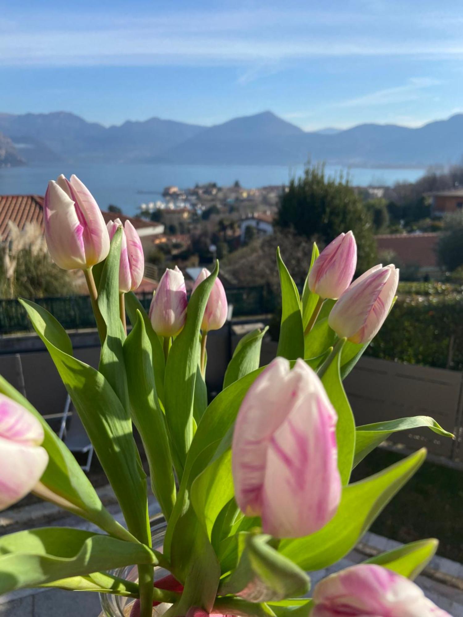B&B Panorama Iseo Bagian luar foto